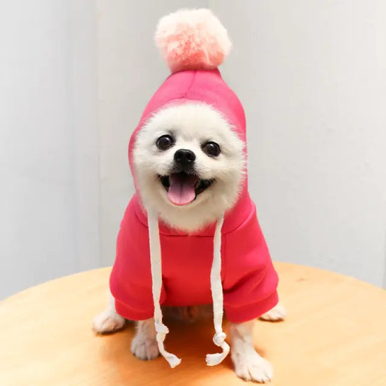 Fruit Pet Coat Hoodies - Cheden