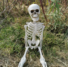  Realistic Halloween Skeleton Cheden