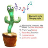 Dancing Cactus Toys - Cheden