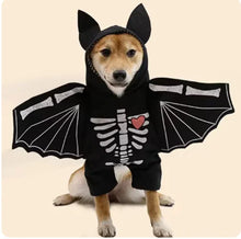  Halloween Bat Costume for Dogs Cheden