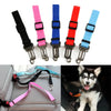 Pets Car Seat Belt Adjustable Harness - Cheden