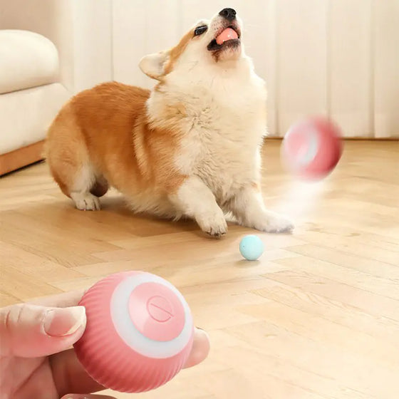 Electric Dog Toys Smart Puppy Ball Toys For Cat Small Dogs Funny Auto Rolling Ball Self-moving Puppy Games Toys Pet Accessories - Cheden