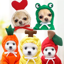  Fruit Pet Coat Hoodies - Cheden