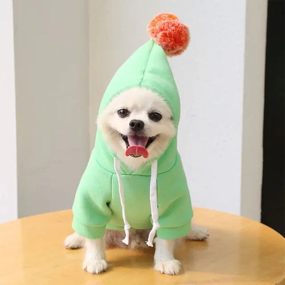 Fruit Pet Coat Hoodies - Cheden