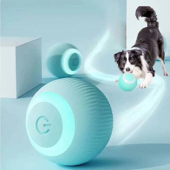 Electric Dog Toys Smart Puppy Ball Toys For Cat Small Dogs Funny Auto Rolling Ball Self-moving Puppy Games Toys Pet Accessories - Cheden