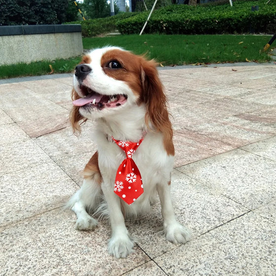 Christmas Dog Necktie Cheden