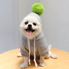 Fruit Pet Coat Hoodies - Cheden